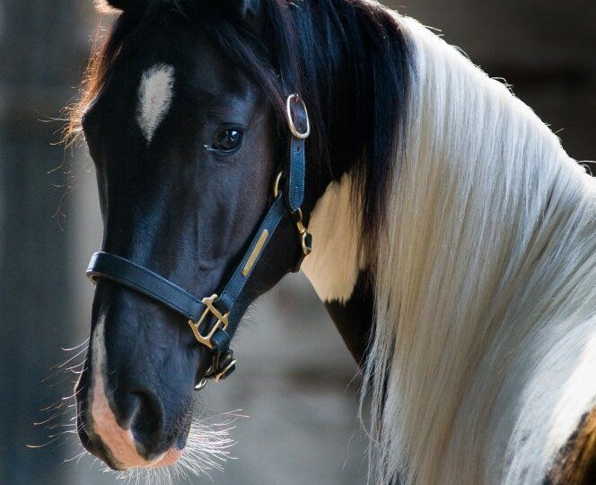 Умей в ответ с улыбкой видеть