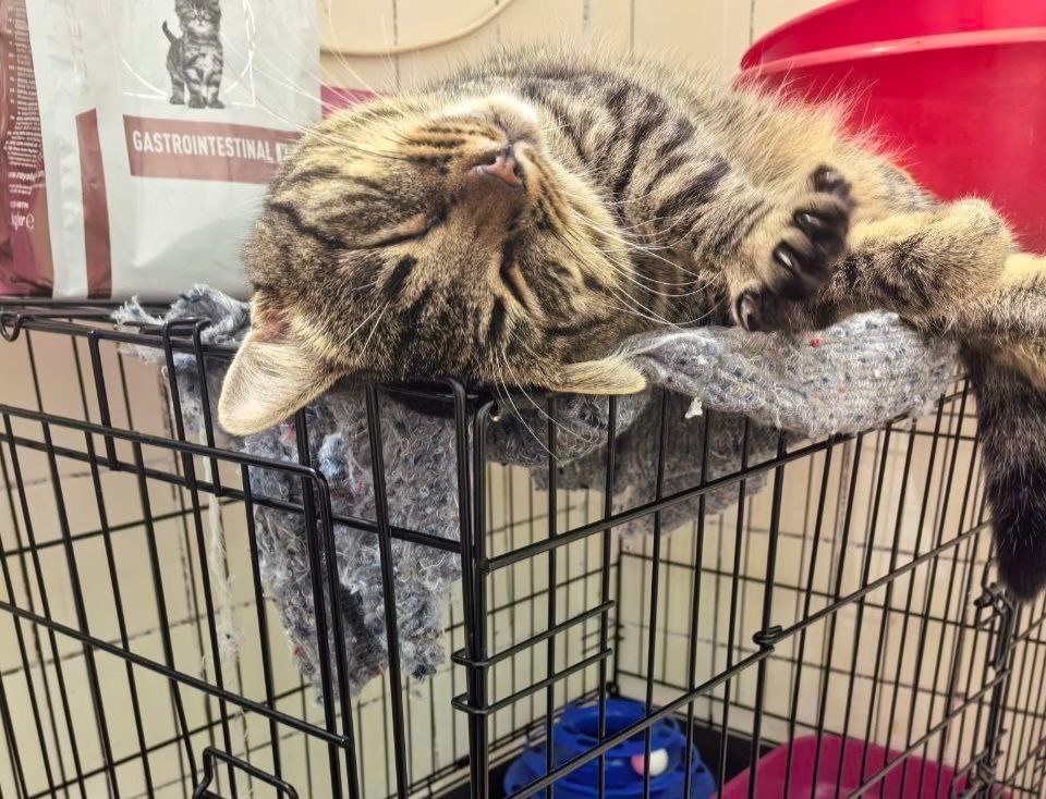 Маркиз - это я, ну проспал встречу, с кем не бывает