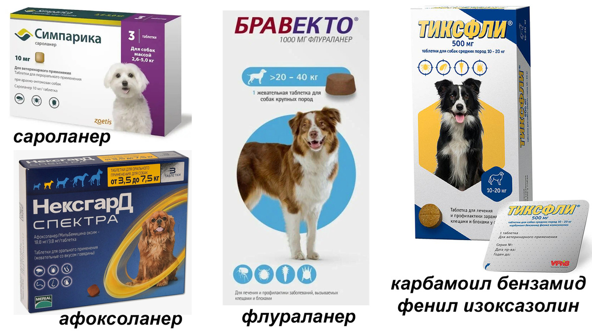 Изображения из интернета