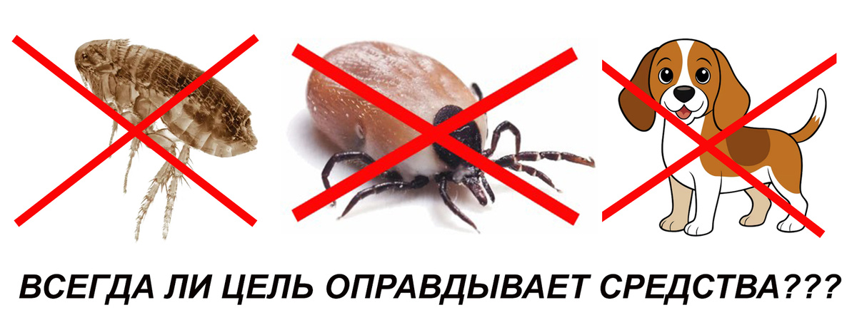 Над некоторыми "чисто философскими" вопросами, иногда стоит всерьез задуматься...