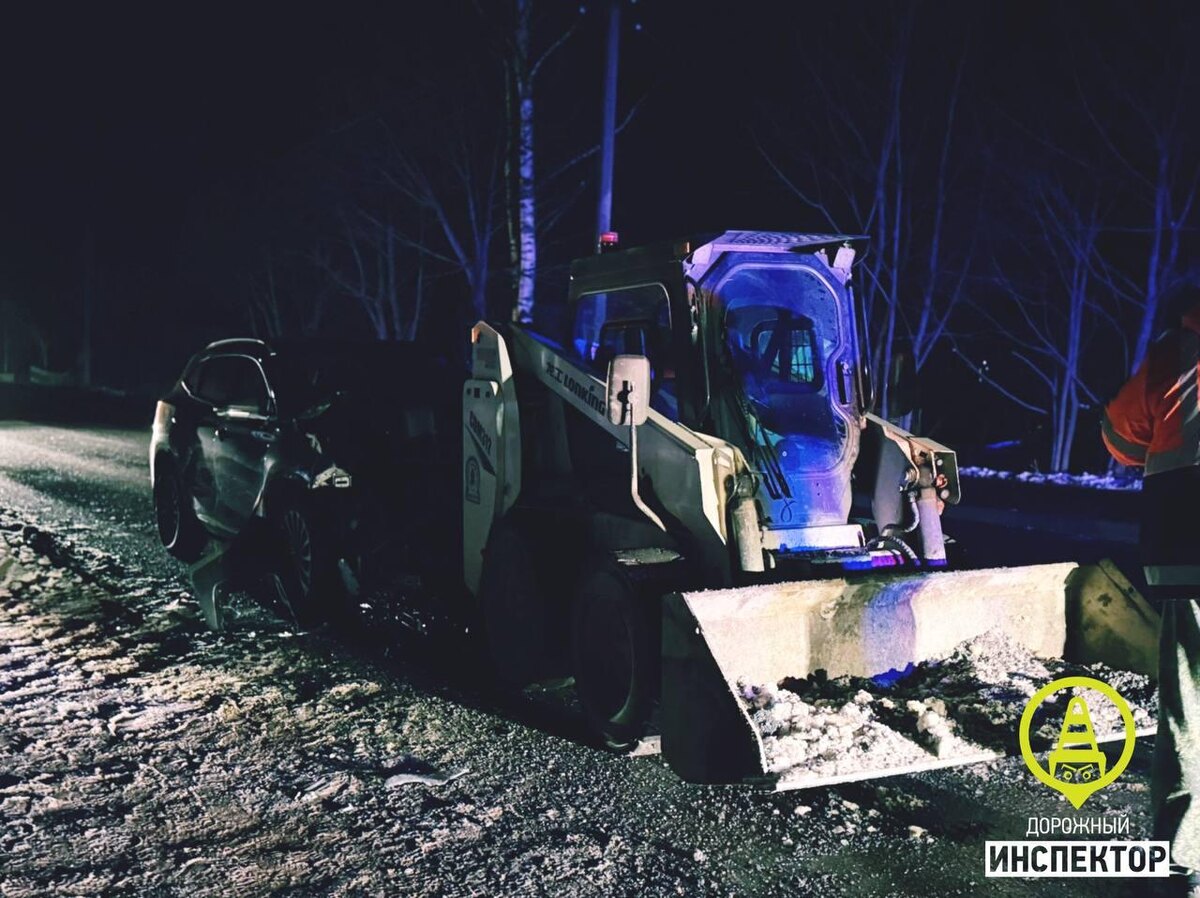    Фото: Дорожный инспектор