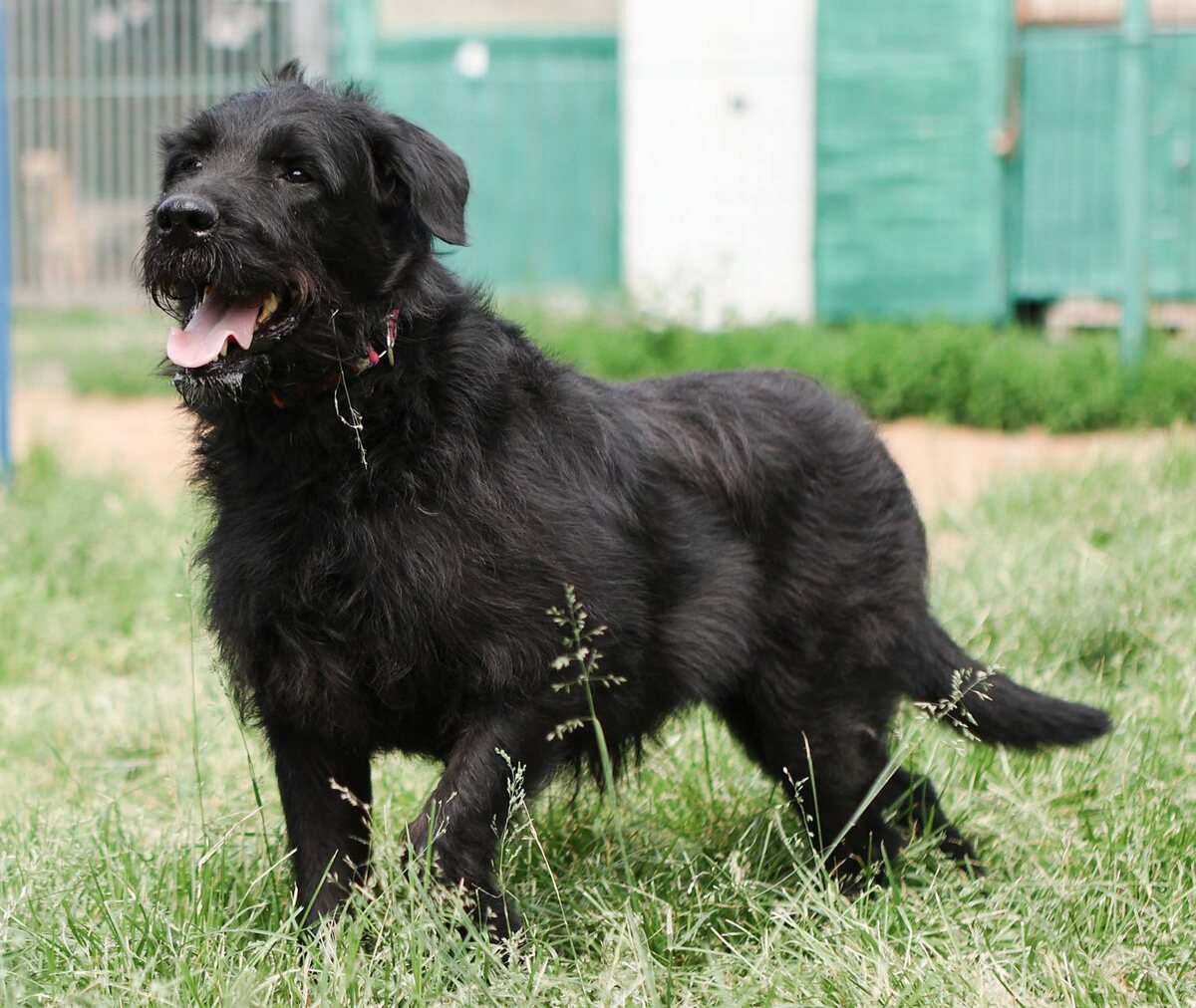 В вашем королевстве кривых зеркал трудно прослыть красавицей