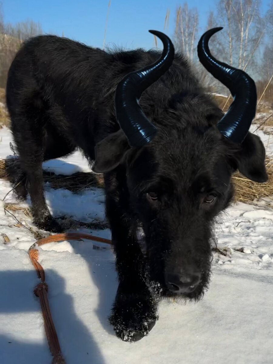 Да не так страшен чёрт, как его малюют!