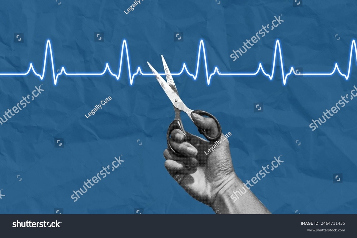 Фото из открытых источников интенета 