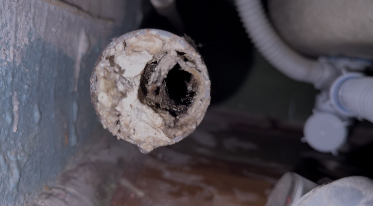 Хорошо, что это все никак не пахло, потому что высохло, так как уже давно никто не пользовался водой в этой квартире.