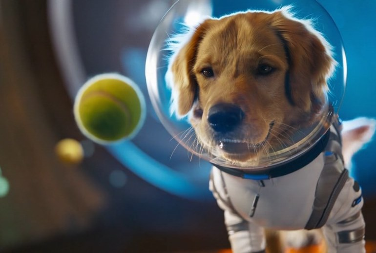 Вот например одна из работ Sora