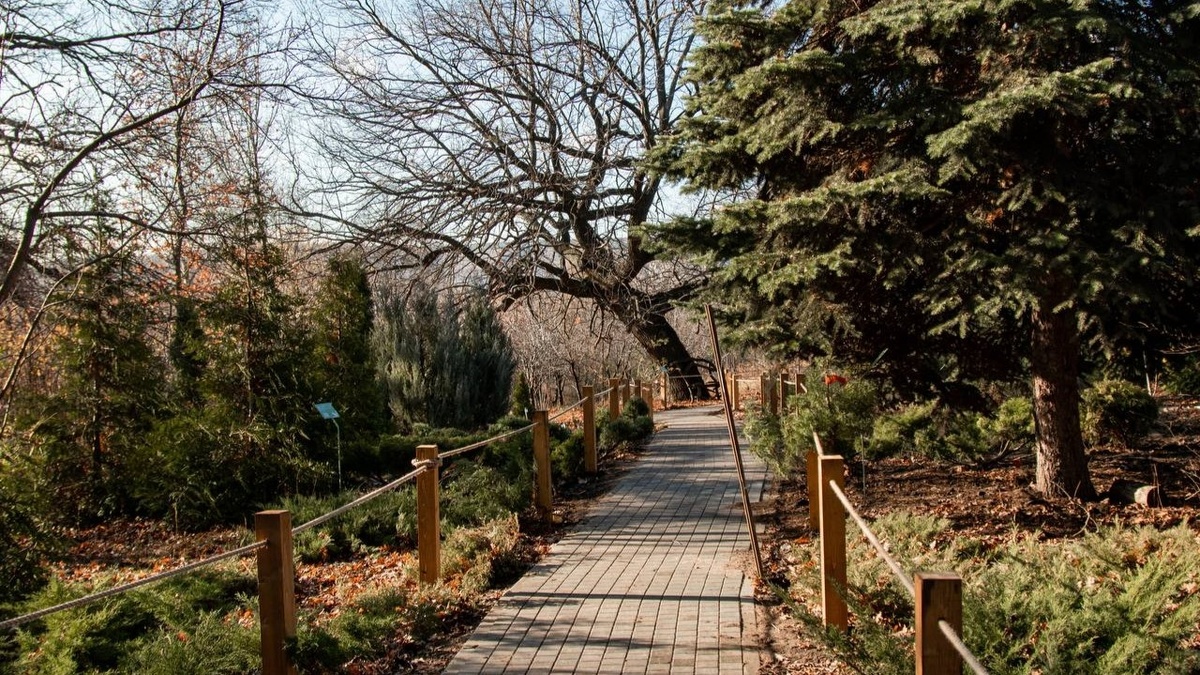    Открывшийся в Саратове Ботанический сад за день посетили 3000 горожанНовости Саратова и области – Сетевое издание «Репортер64»