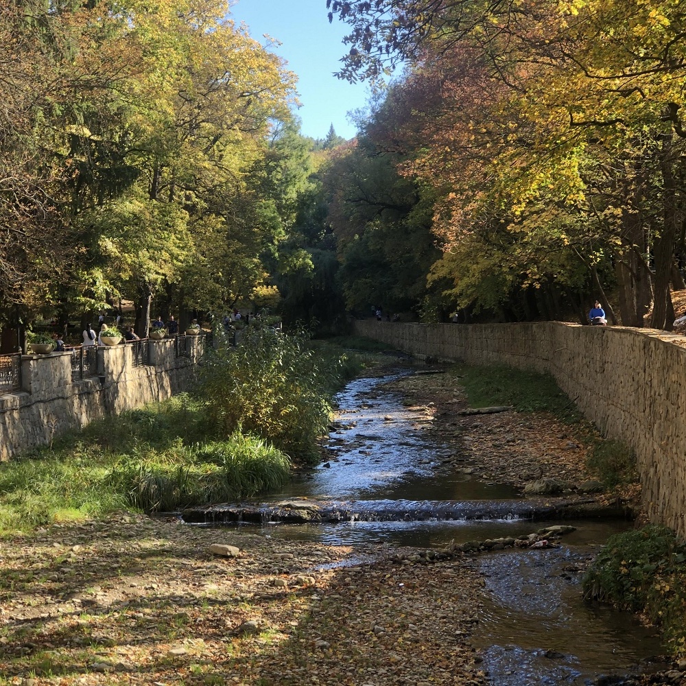 Река Ольховка