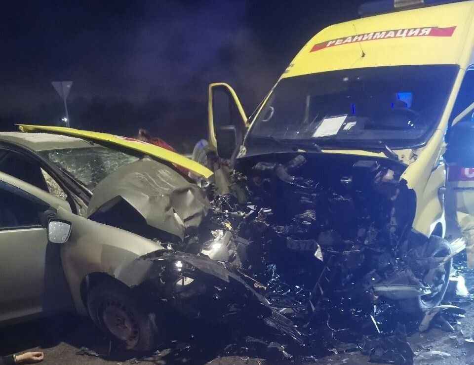     / Источник: © пресс-служба УМВД России по Тульской области