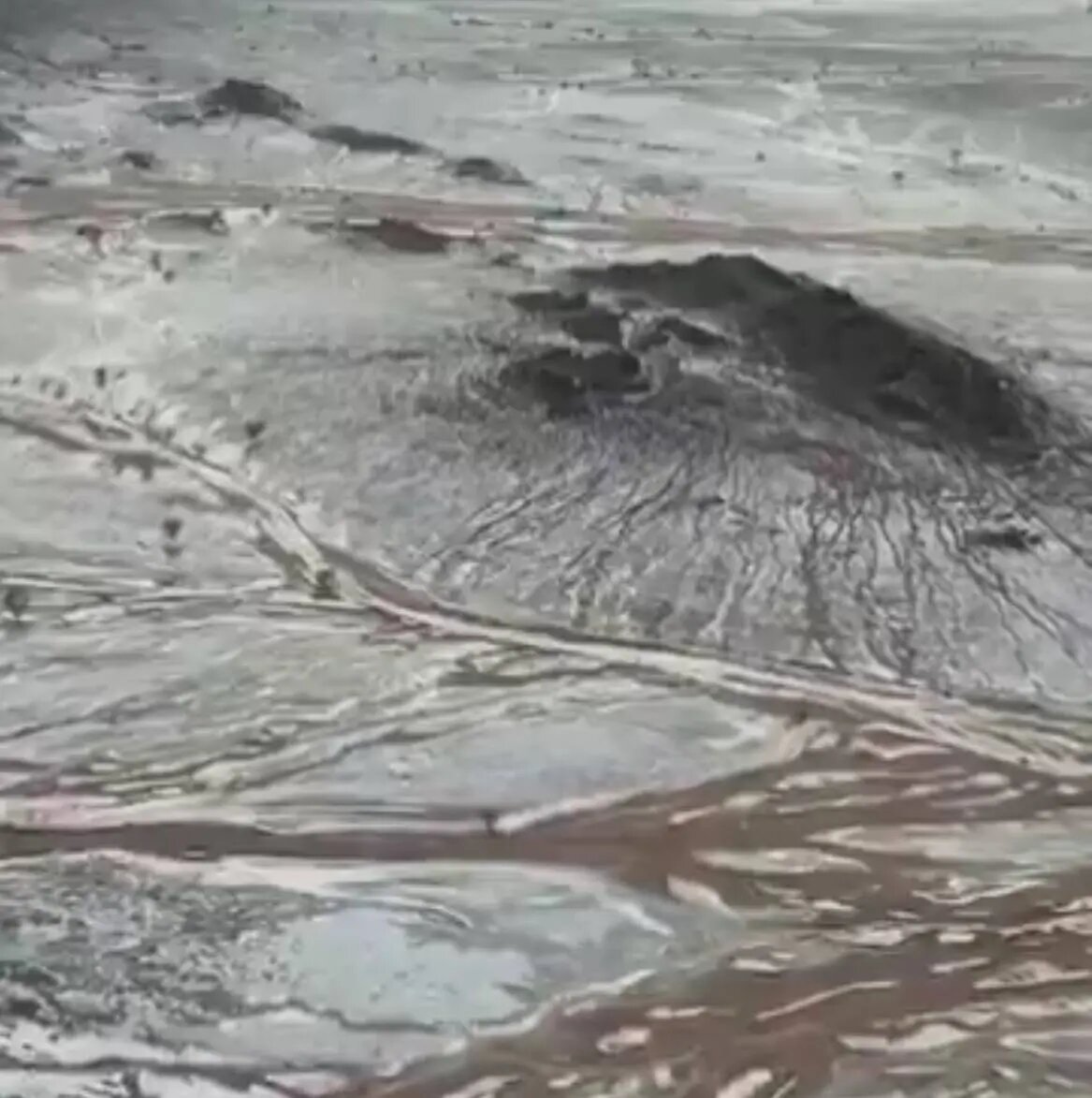    Фото: скриншот видео из соцсетей