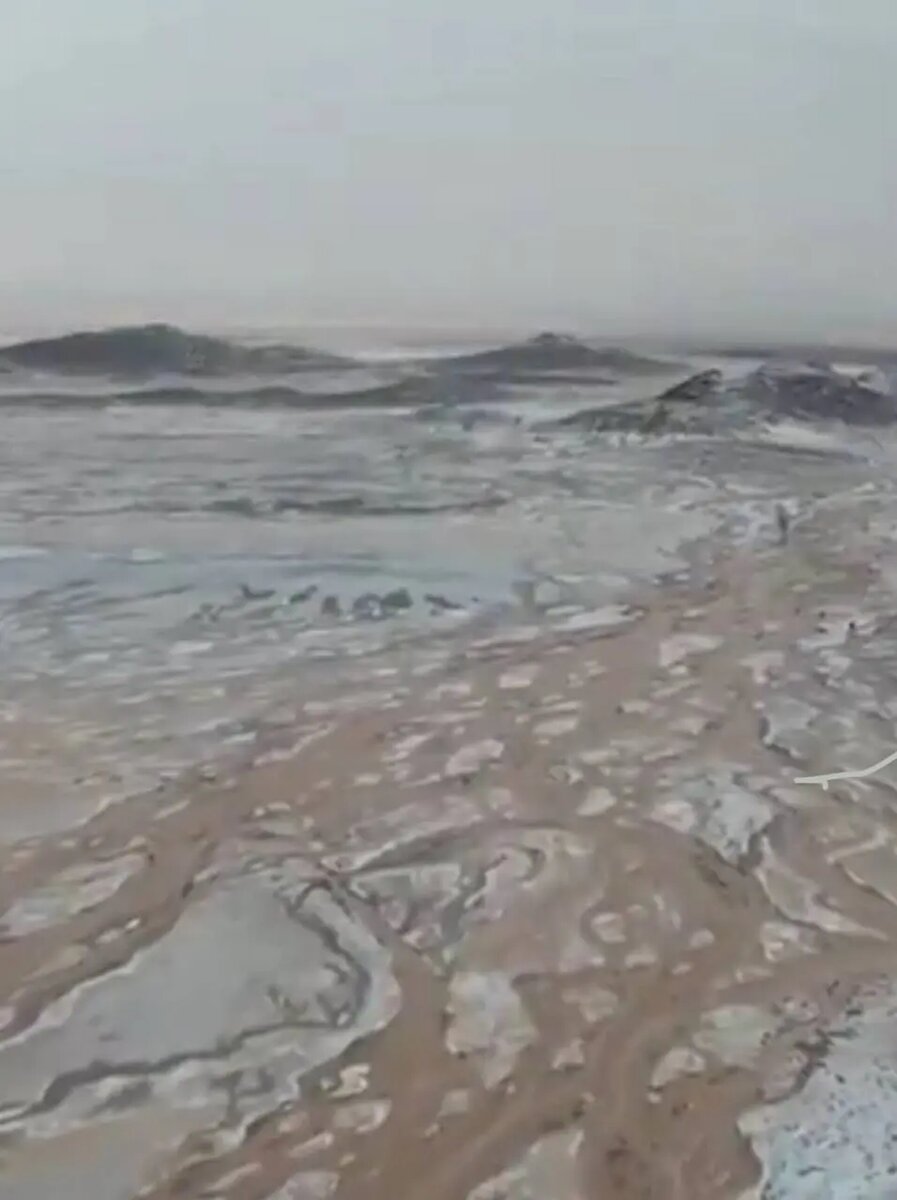    Фото: скриншот видео из соцсетей