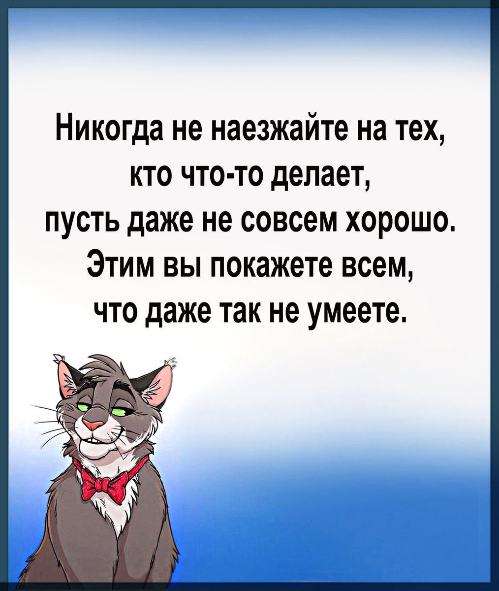 Изображение и текст автора.