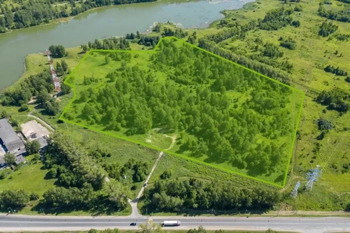    10 га земли выставили на торги под КРТ в Лысково