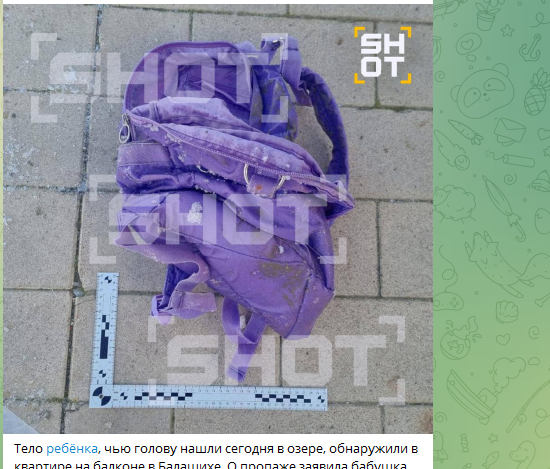    Рюкзак, найденный на берегу пруда. Фото: скринщот тг-канал SHOT.