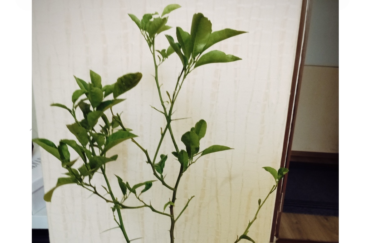 Фото Виолетты ГАВРИЛЕНКО.