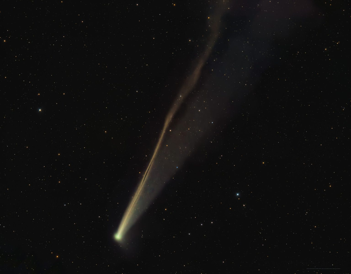 Комета C/2025 K1 ATLAS. Источник: Dan Bartlett
