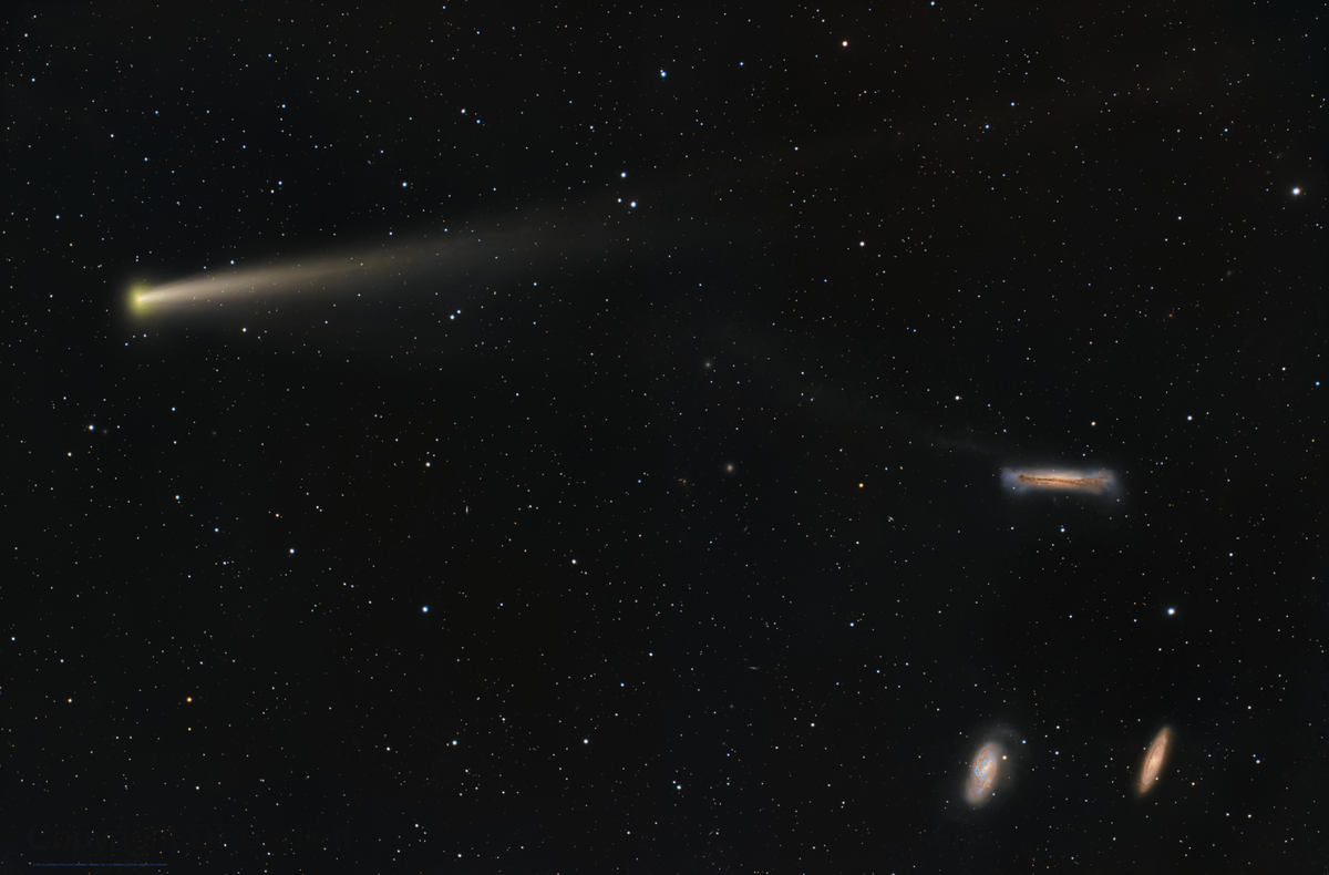 Комета C/2025 K1 ATLAS. Источник: Dan Bartlett