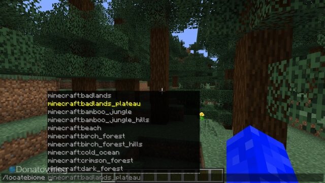    Команда locatebiome в «Майнкрафте»