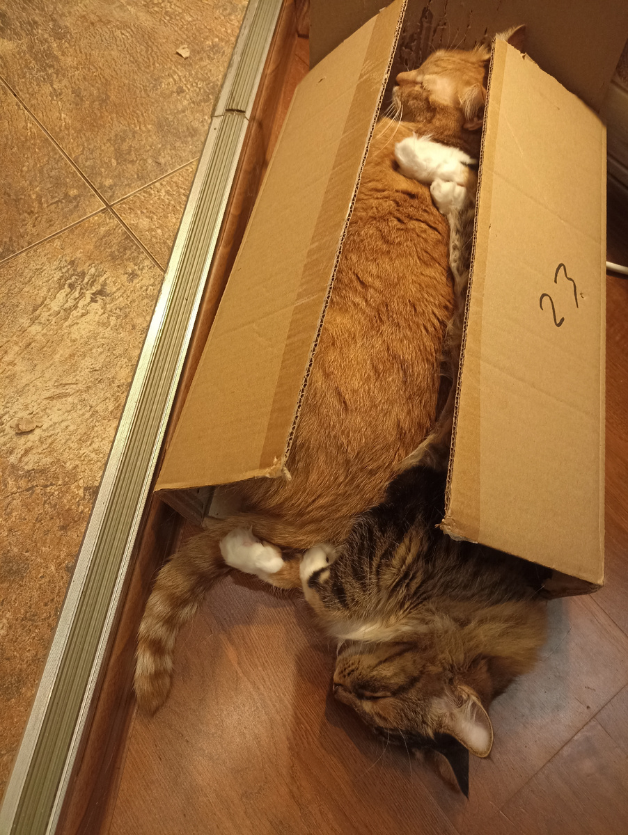 Упаковались, утеплились)) 