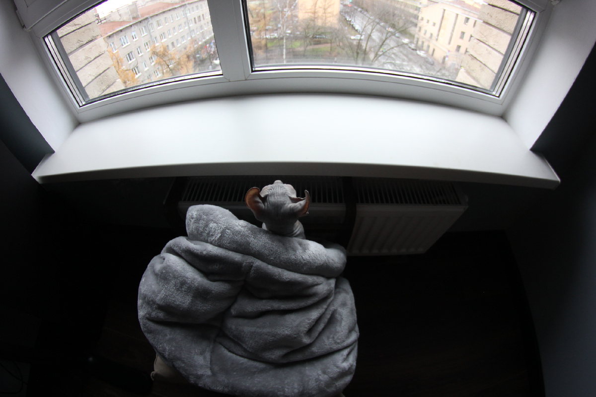 Источник тепла найти легко, источник веселья - сложнее!