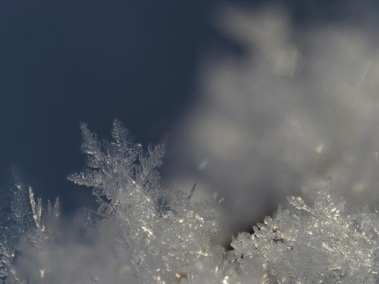    Фото: Yuri Antonenko on Unsplash