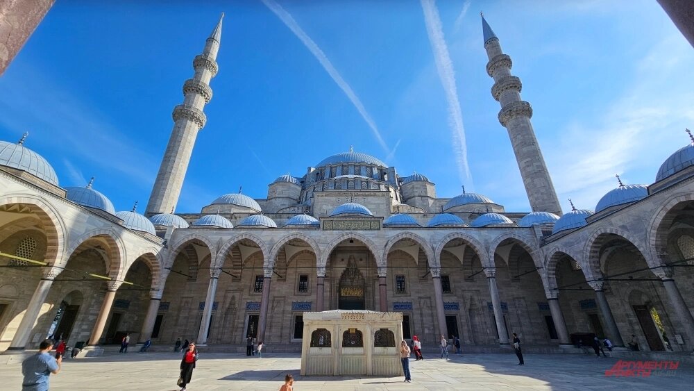    Фото: АиФ/ Георгий Зотов