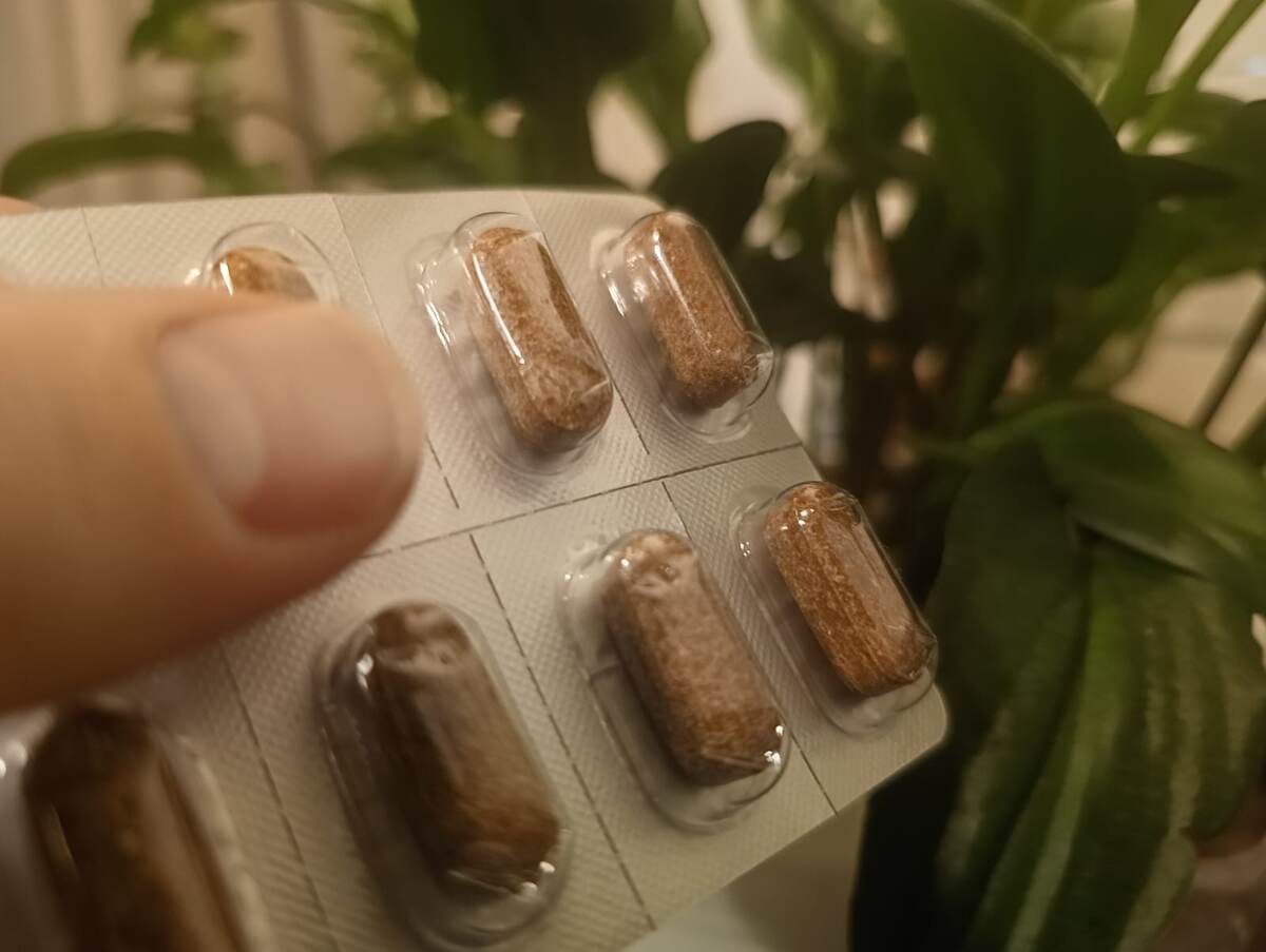    фото: © Столица на Онего