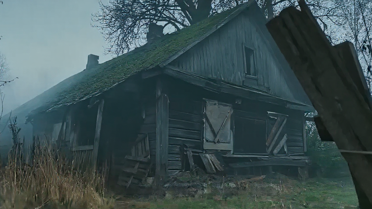 Зверобой. Северный след 2025