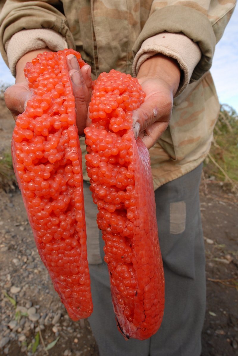    ФОТО: Andrey Shapran/Russian Look/Globallookpress