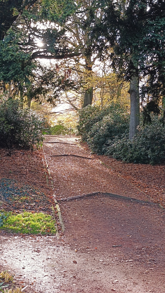 В парке при доме