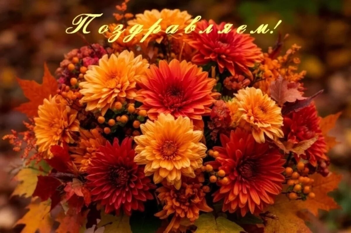    Кого поздравить 17 ноября?