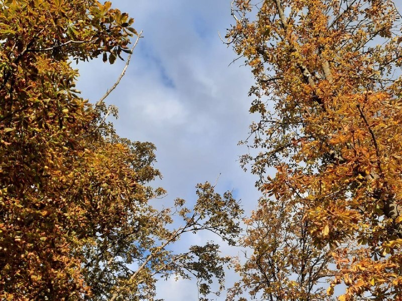    Фото Натальи Никитиной Валерия Стальная