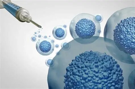 (И что из этого вышло — честный рассказ с приключениями)