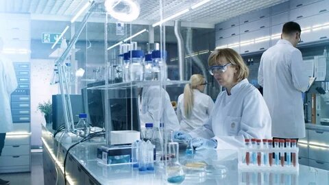 Именно в таких лабораториях творят современные чудеса — выращивают клетки для лечения