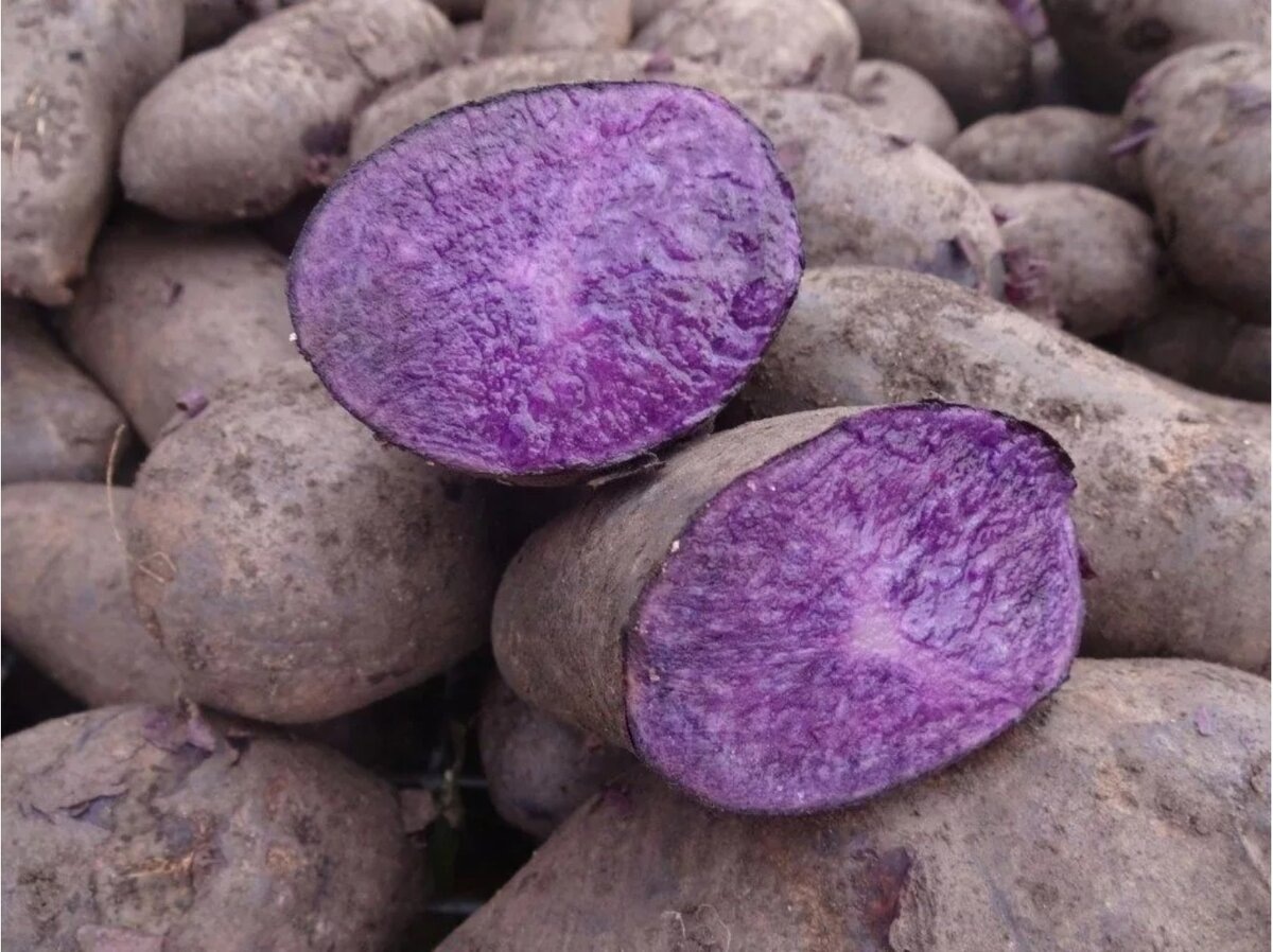 из открытого источника