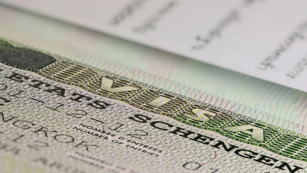    Фото: Bjoern Wylezich/Shutterstock/Fotodom