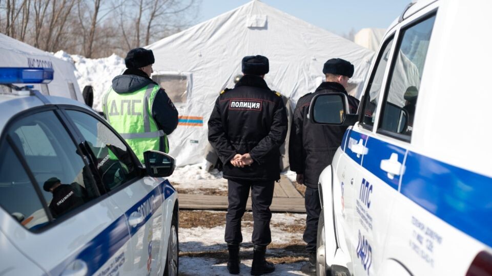    Полиция. ДПС и участковые. Источник: Анна Меньшикова