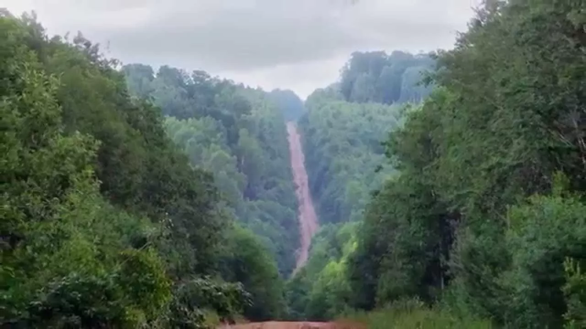 Район Макушки Валдая. Фото с сайта https://www.youtube.com/watch?app=desktop&v=VLzL7I-iizg