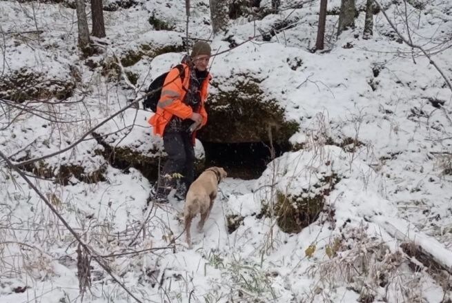 Фото: "Лиза Алерт"