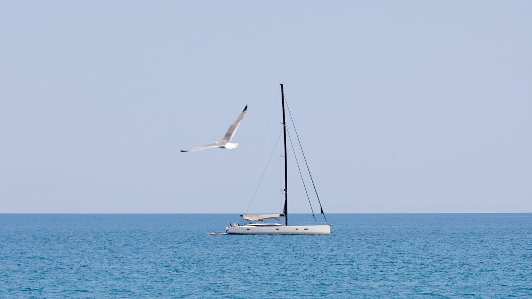    фото:Petrov Sergey/news.ru/Globallookpress