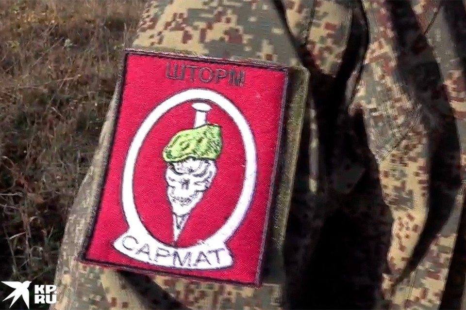   Дмитрий СТЕШИН