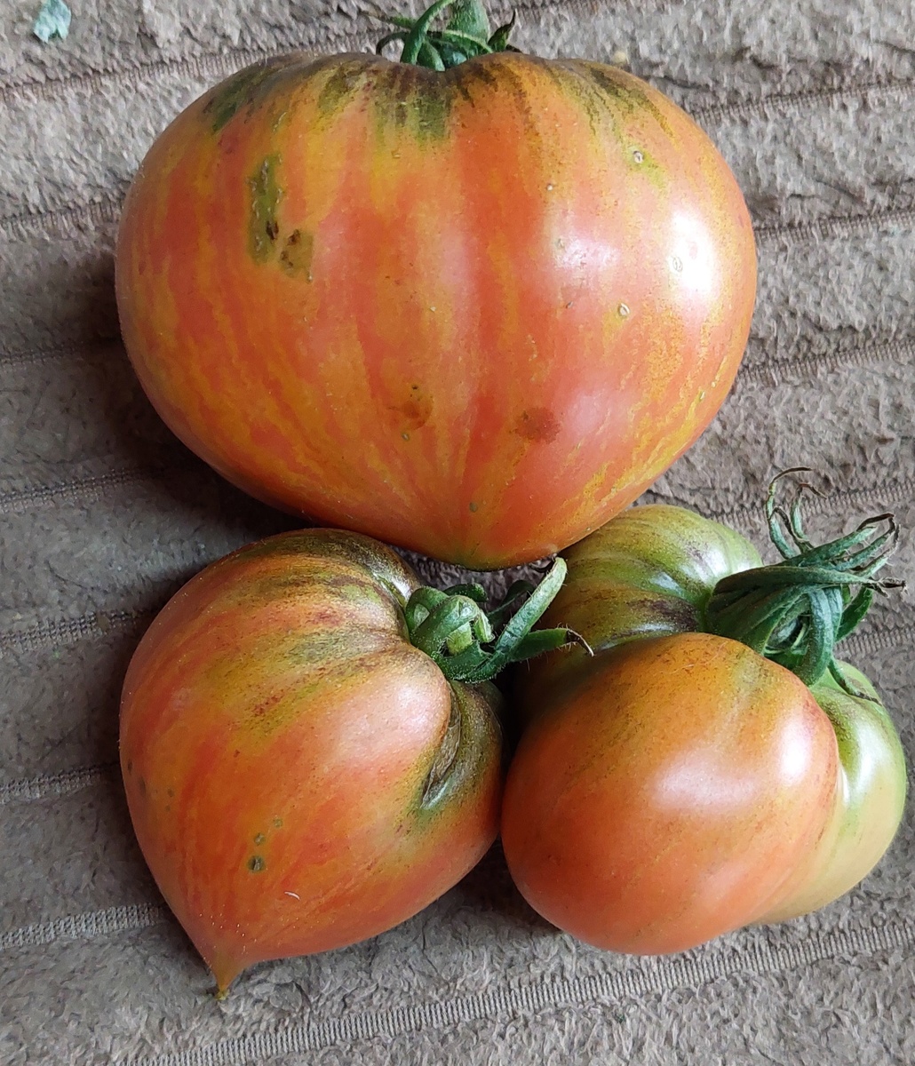 Дробленое сердце 