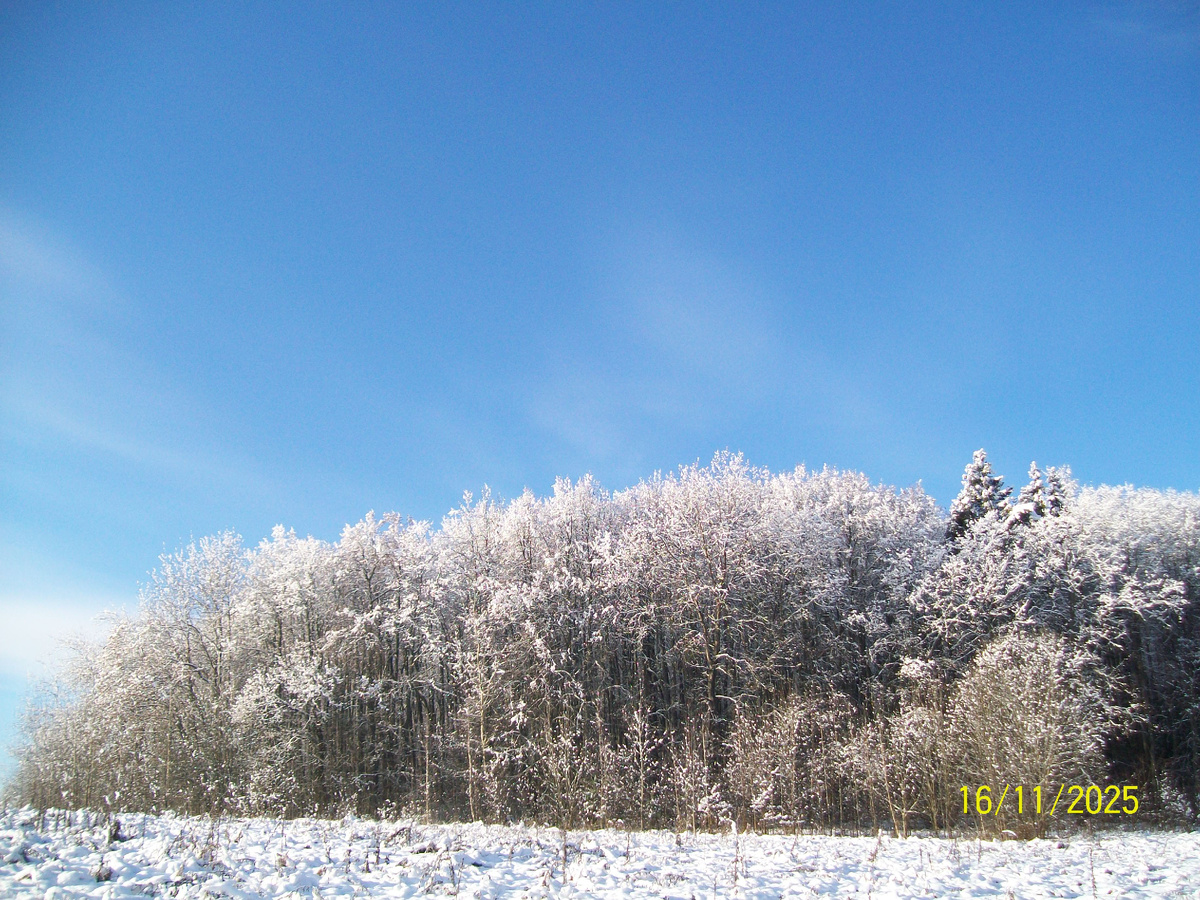 Личное фото