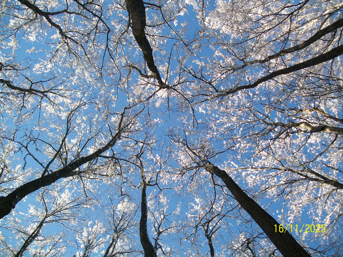 Личное фото