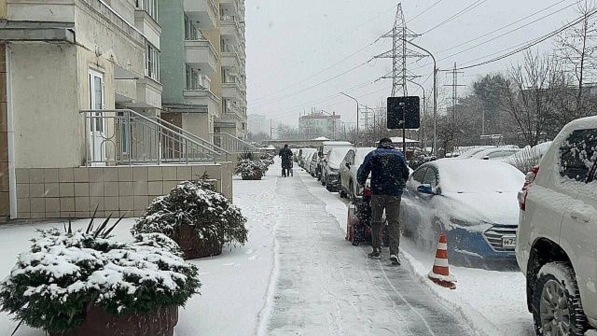    Фото: телеканал «Краснодар»