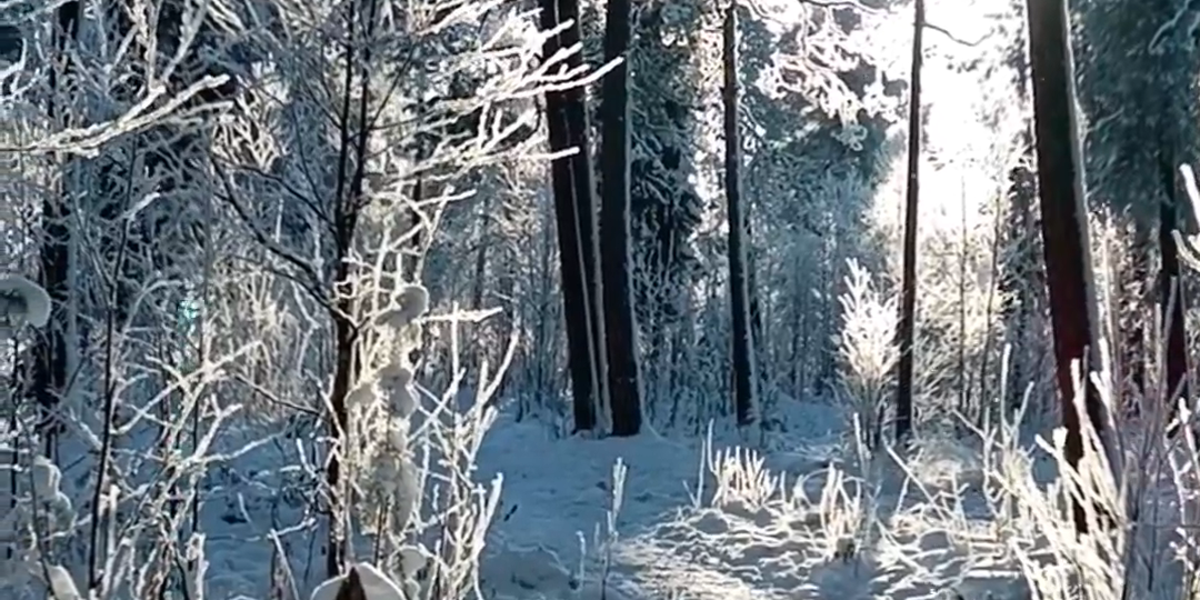 Зимнее волшебство