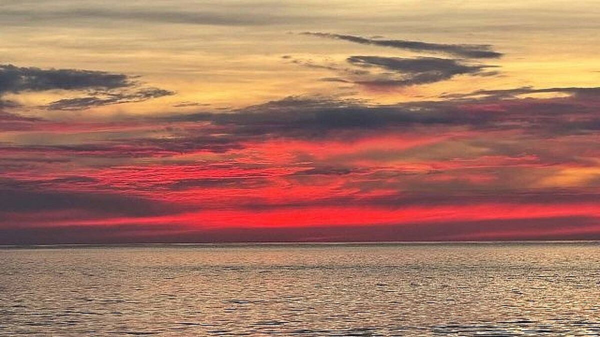    Фото: телеканал «Краснодар»