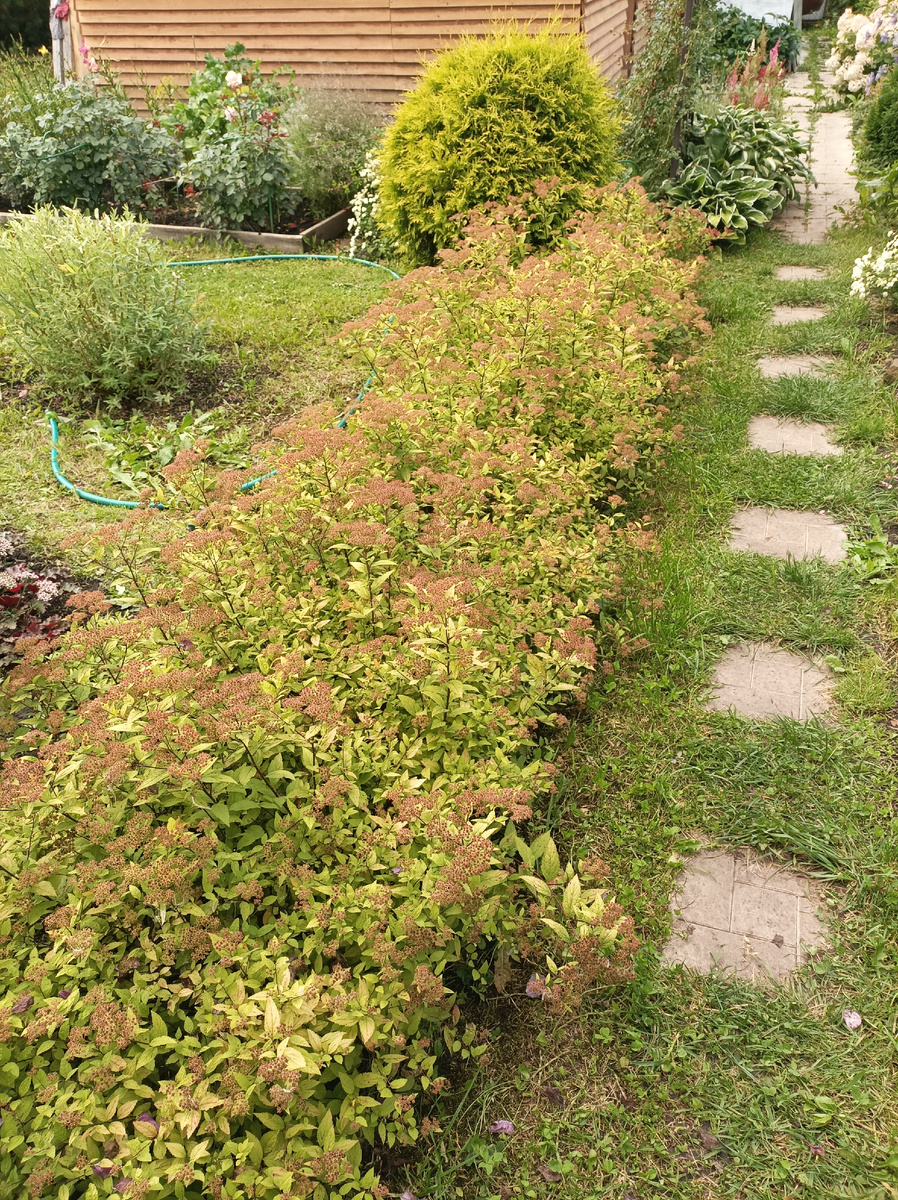 9 августа, немного задержалась со стрижкой