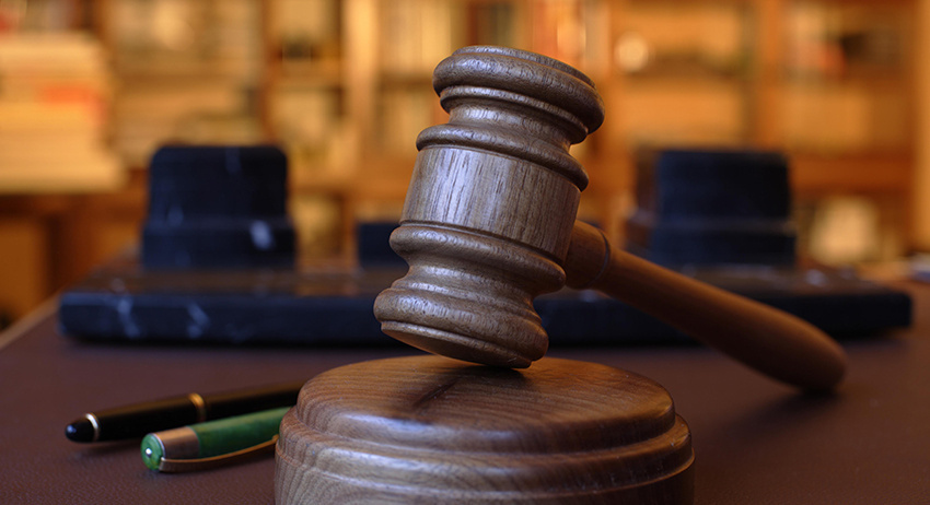    Jiri Hubatka/imageBROKER.com/Global Look Press