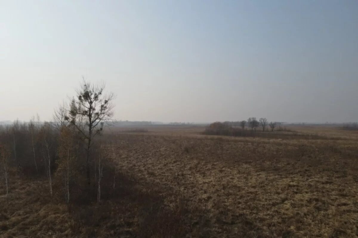    Сотни гектаров сельхозземель в Хабаровском крае заросли сорняками